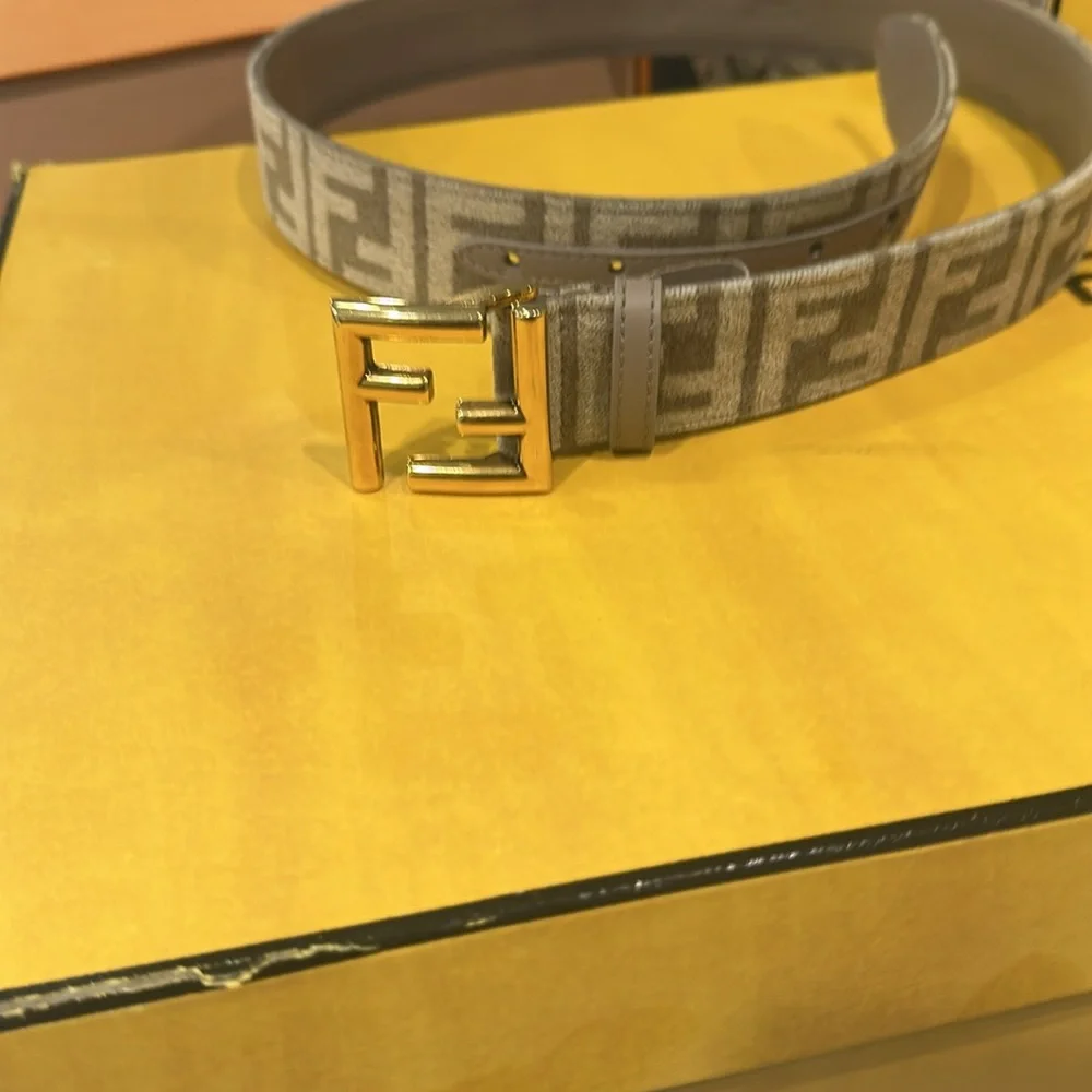Fendi Brown and Gold women Belt Bag - Picture 13 of 17